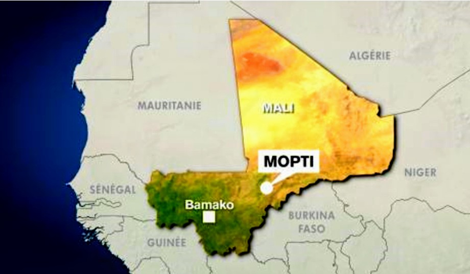 Mopti : la fièvre hémorragique Crimée-Congo fait 7 morts.